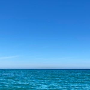 Meet your Posher, Annabel